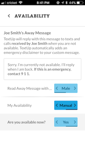 Customizing away message, voice type, and availability